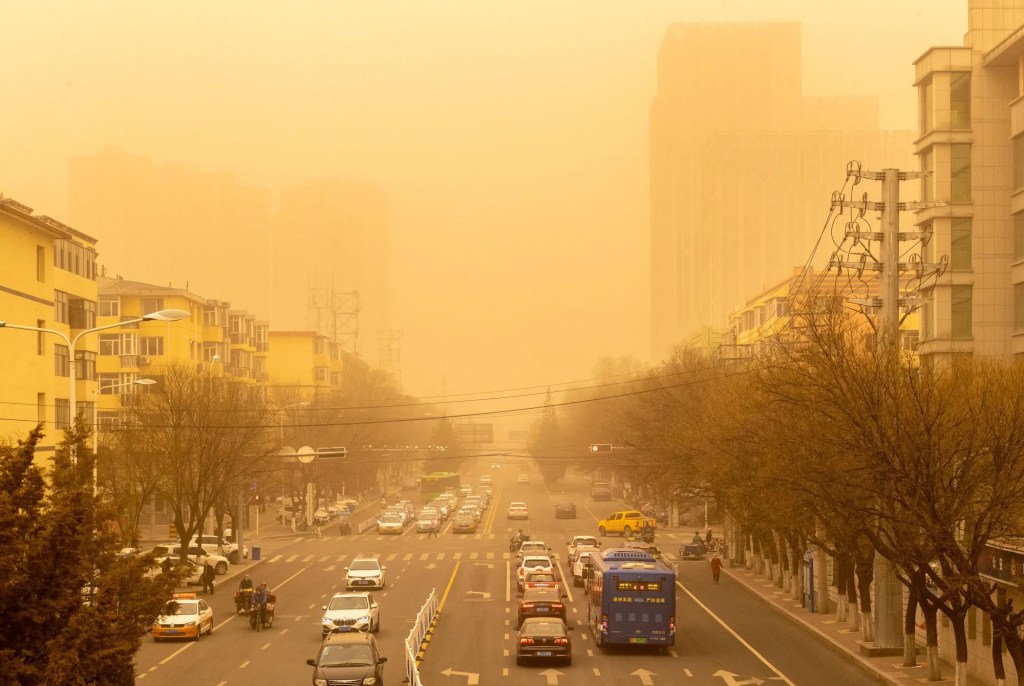 Yellow Dust, Medical Exams, and Triceratops&nbsp;Chopsticks