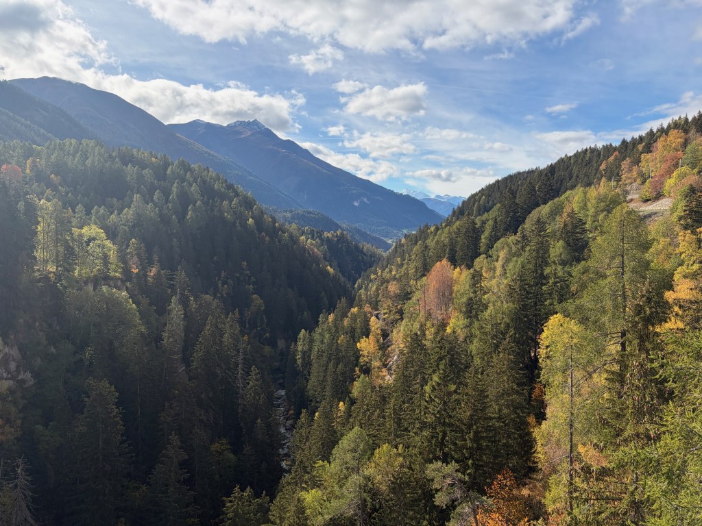 Forested mountain valley with autumn foliage near Bellwald.