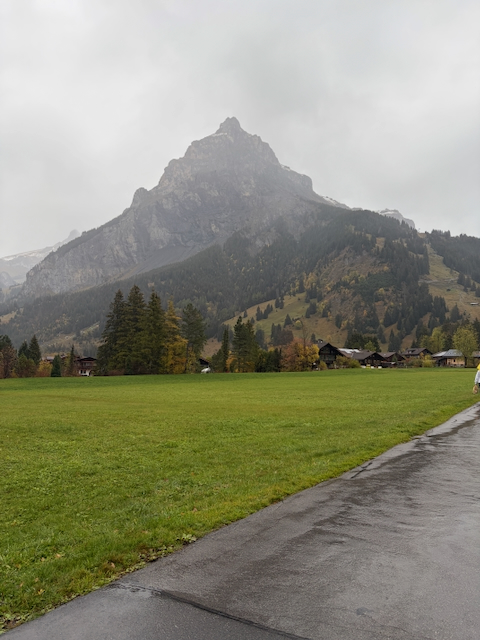 Mountain rising above a green village meadow