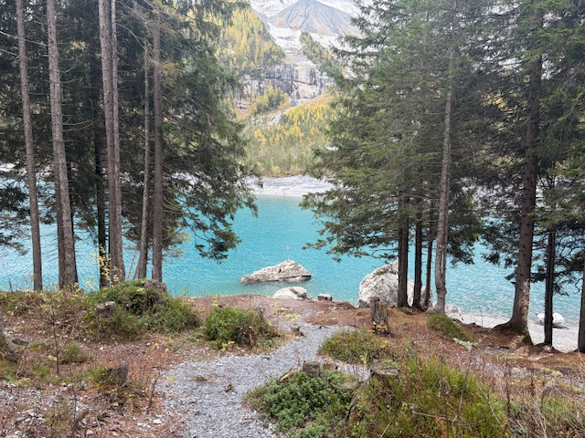 Woodland path opening onto a turquoise lake