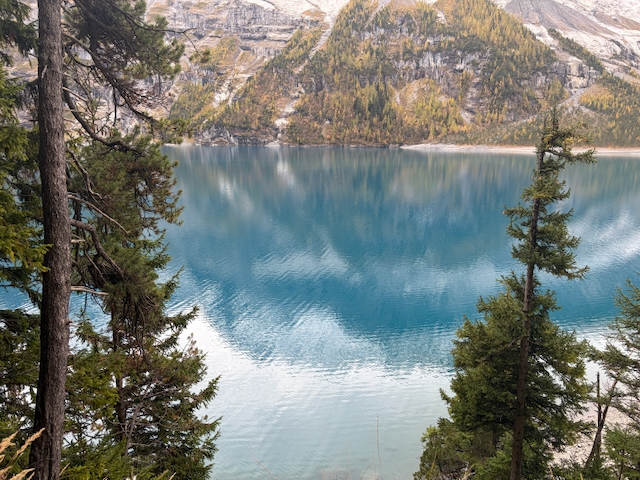 Lake reflection framed by conifers