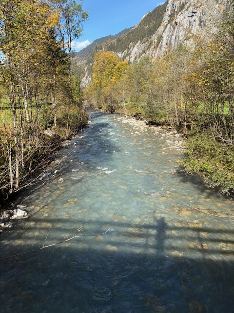 Pale blue river bordered by autumn trees
