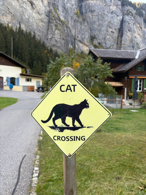Cat-crossing sign beside village buildings