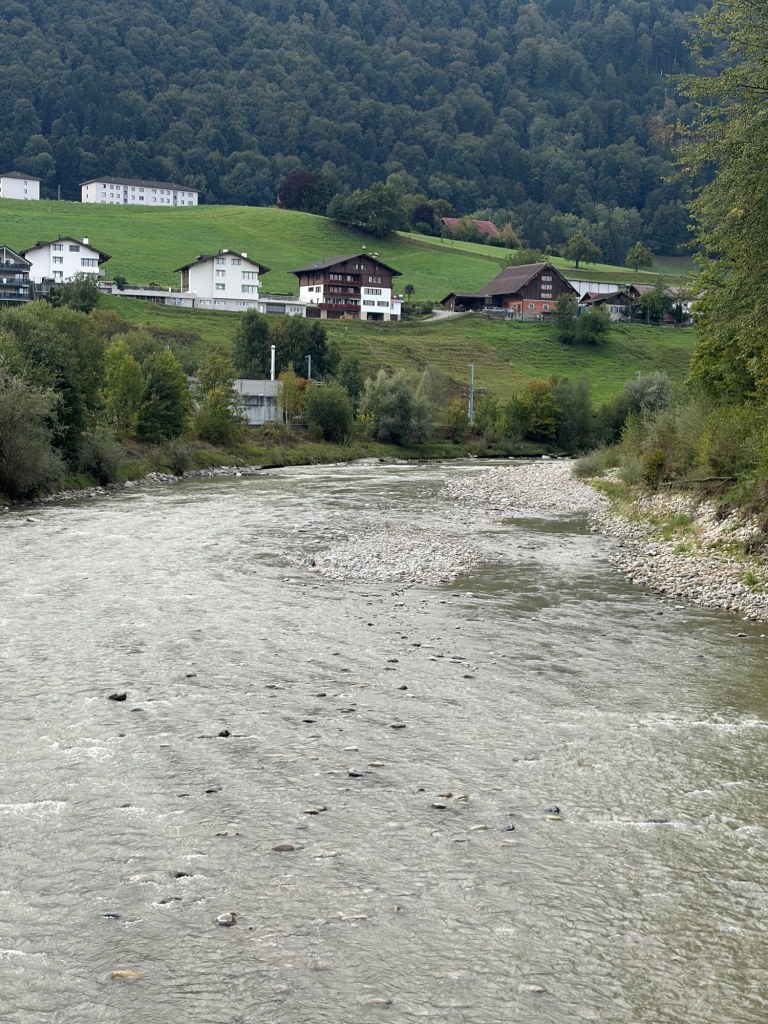 A river curves around a gravel bank below green fields, houses, and a forested hillside.