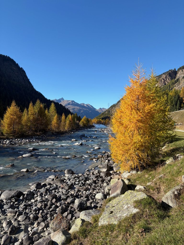 Autumn trees along the river