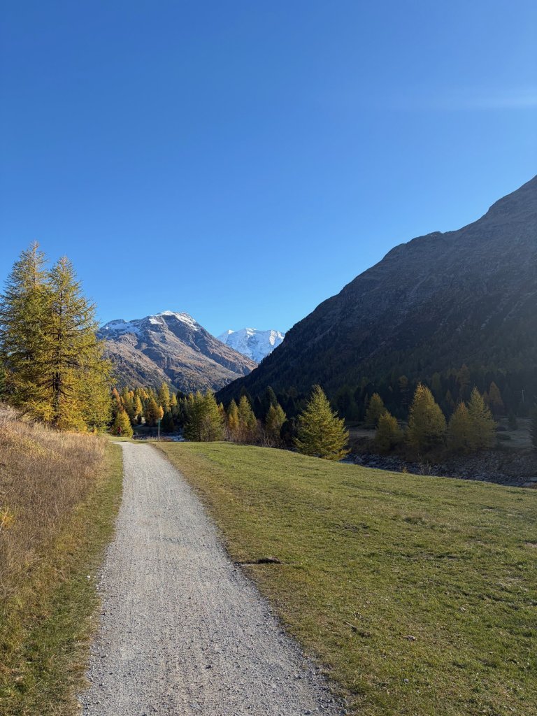 Walking path toward the mountains