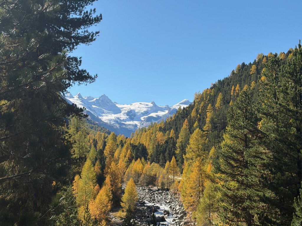 Autumn trees and river in Val Roseg