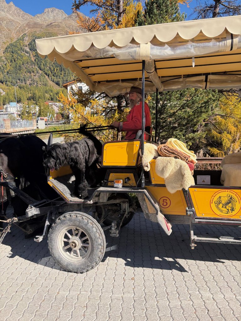 Horse-drawn carriage