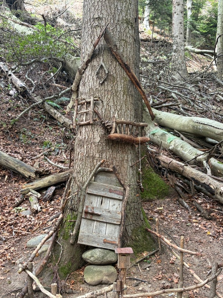 Tree house in the woods