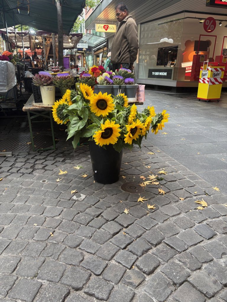 Sunflowers outside a flower shop