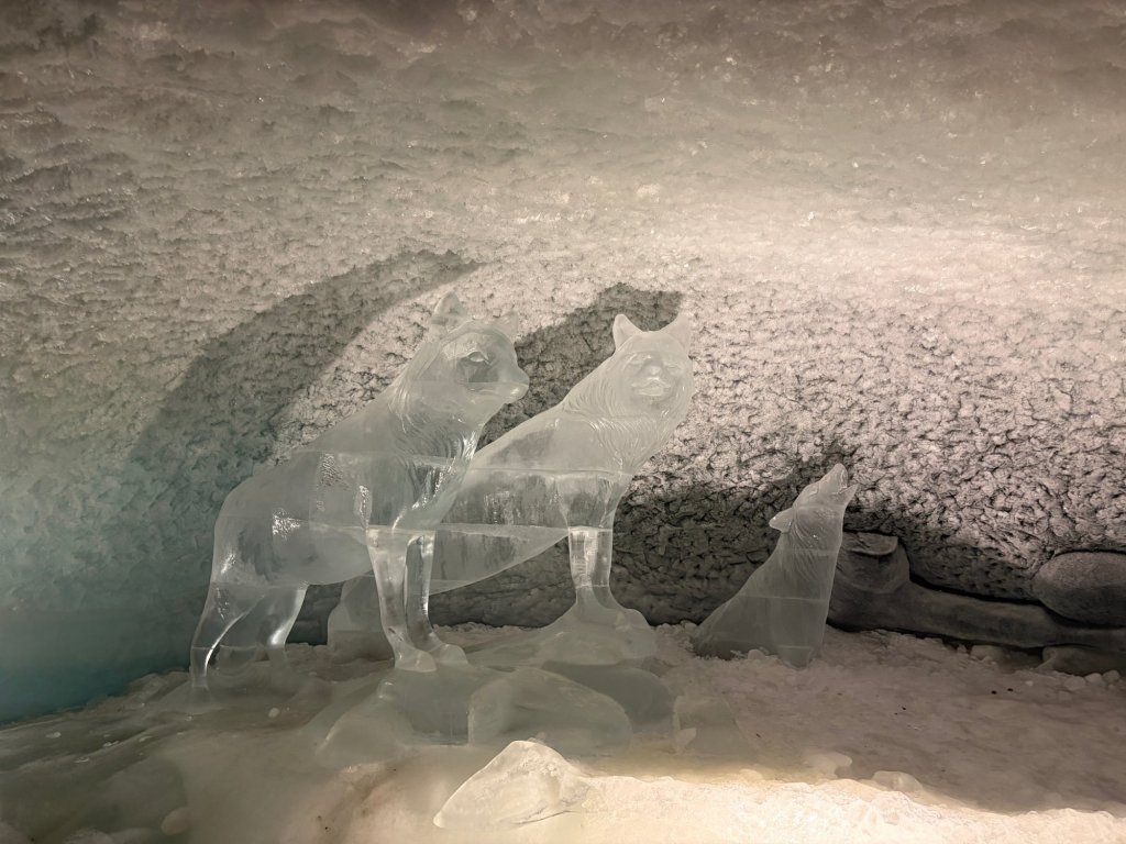 Wolves carved in ice