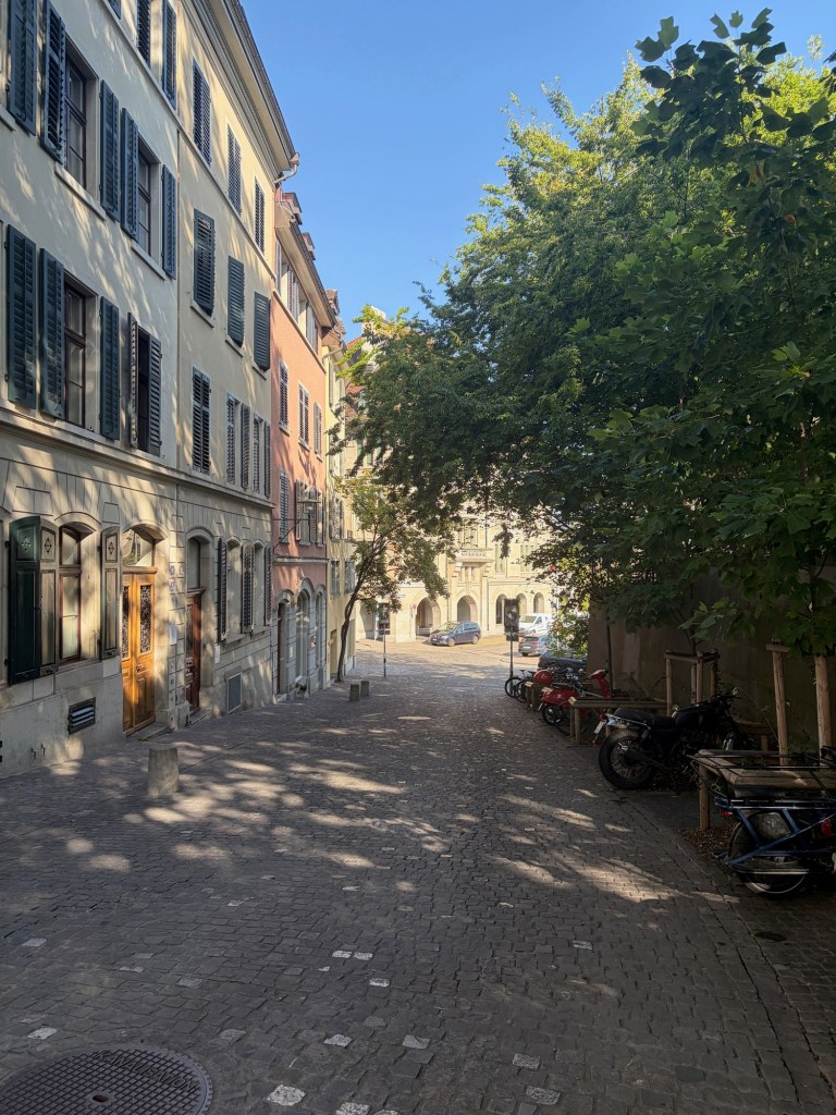 Dappled sunlight falls across a cobblestone street lined with shuttered buildings and leafy trees.
