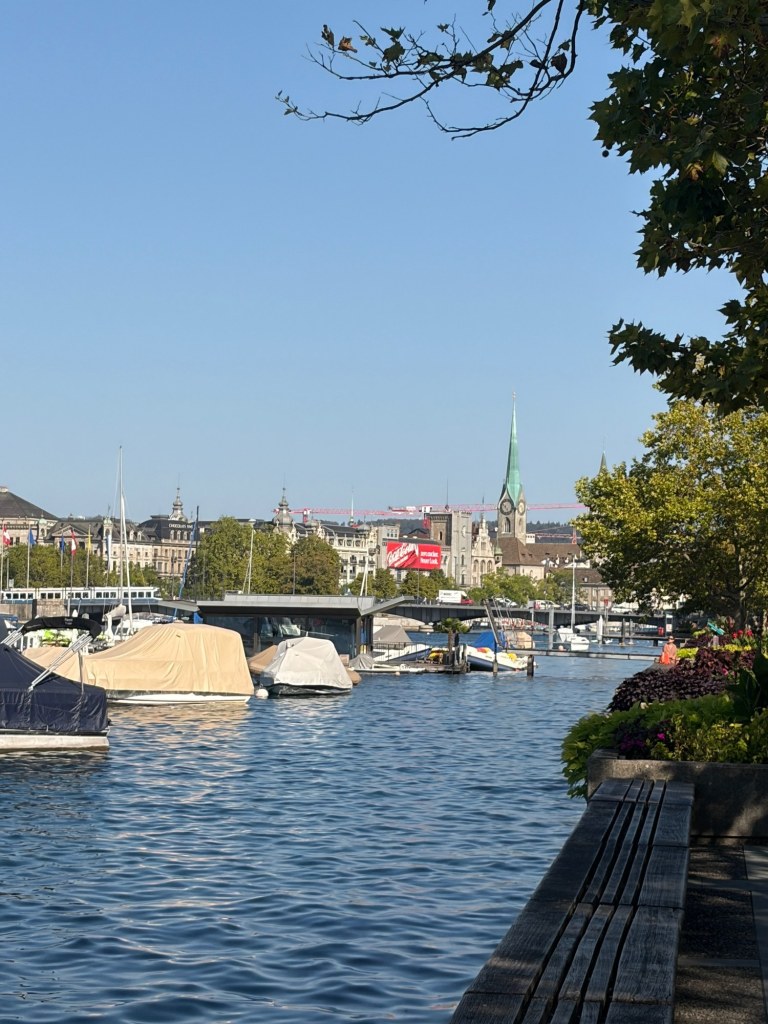 Covered boats in a Zürich harbor, with a church spire beyond and a bench along the shaded waterfront.