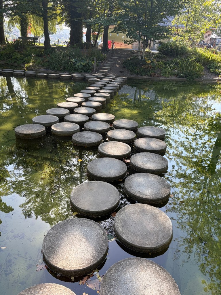 Round stepping stones curve across a shallow green pond toward a tree-lined path.