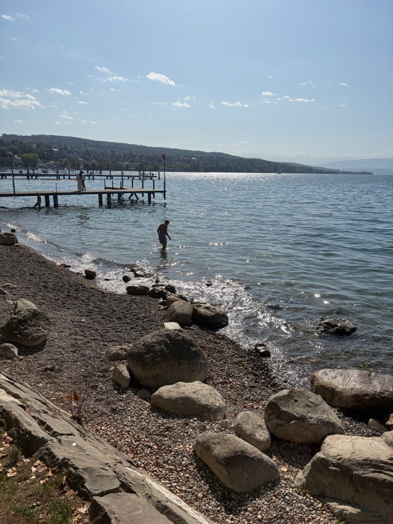 A swimmer wades beside a rocky beach and wooden docks as sunlight sparkles on Lake Zürich.